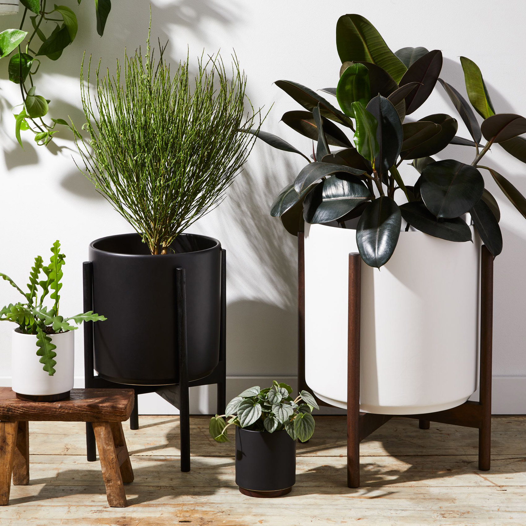 2021-0503_lbe-design_stoneware-and-wood-planters_family_1x1_ty-mecham_food52