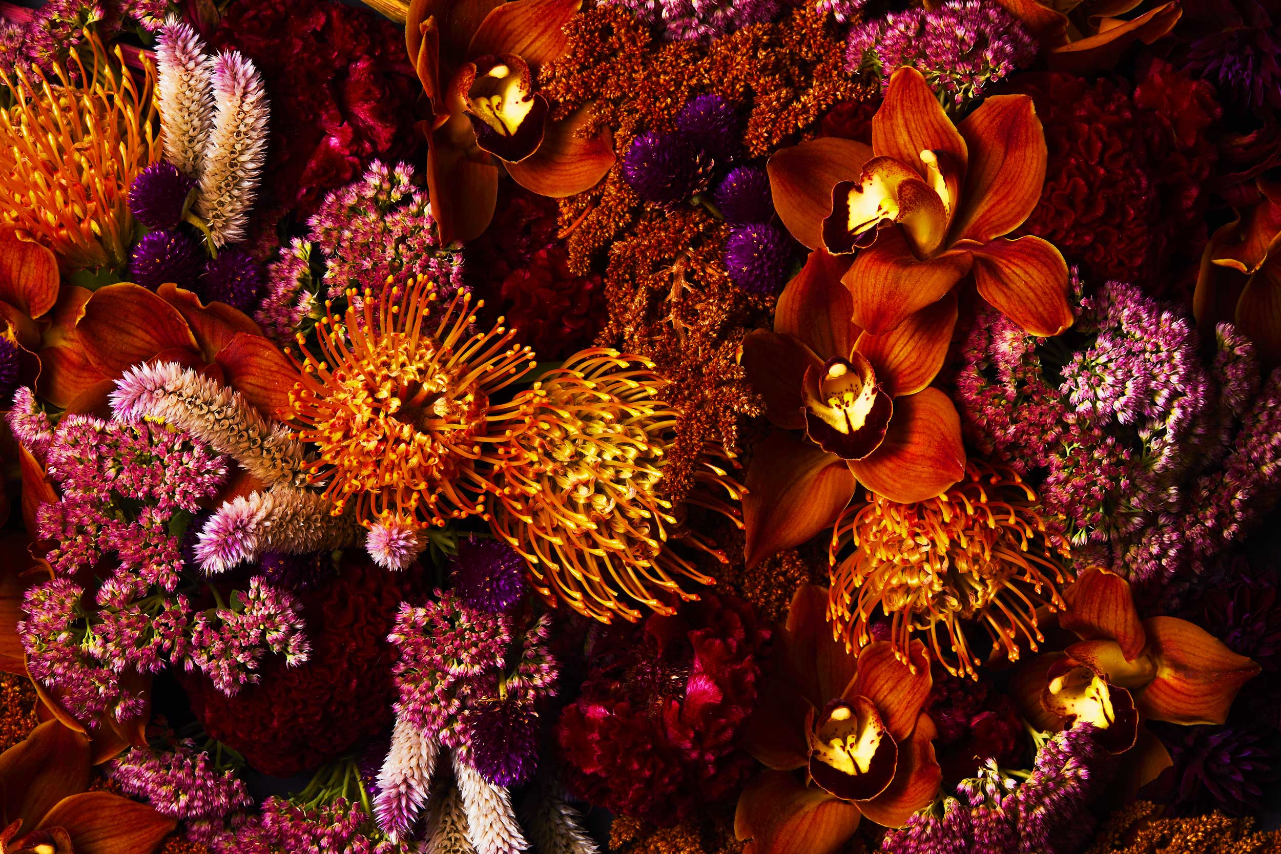 fall-floral-composition_flowers_ty-mecham_emily-harris