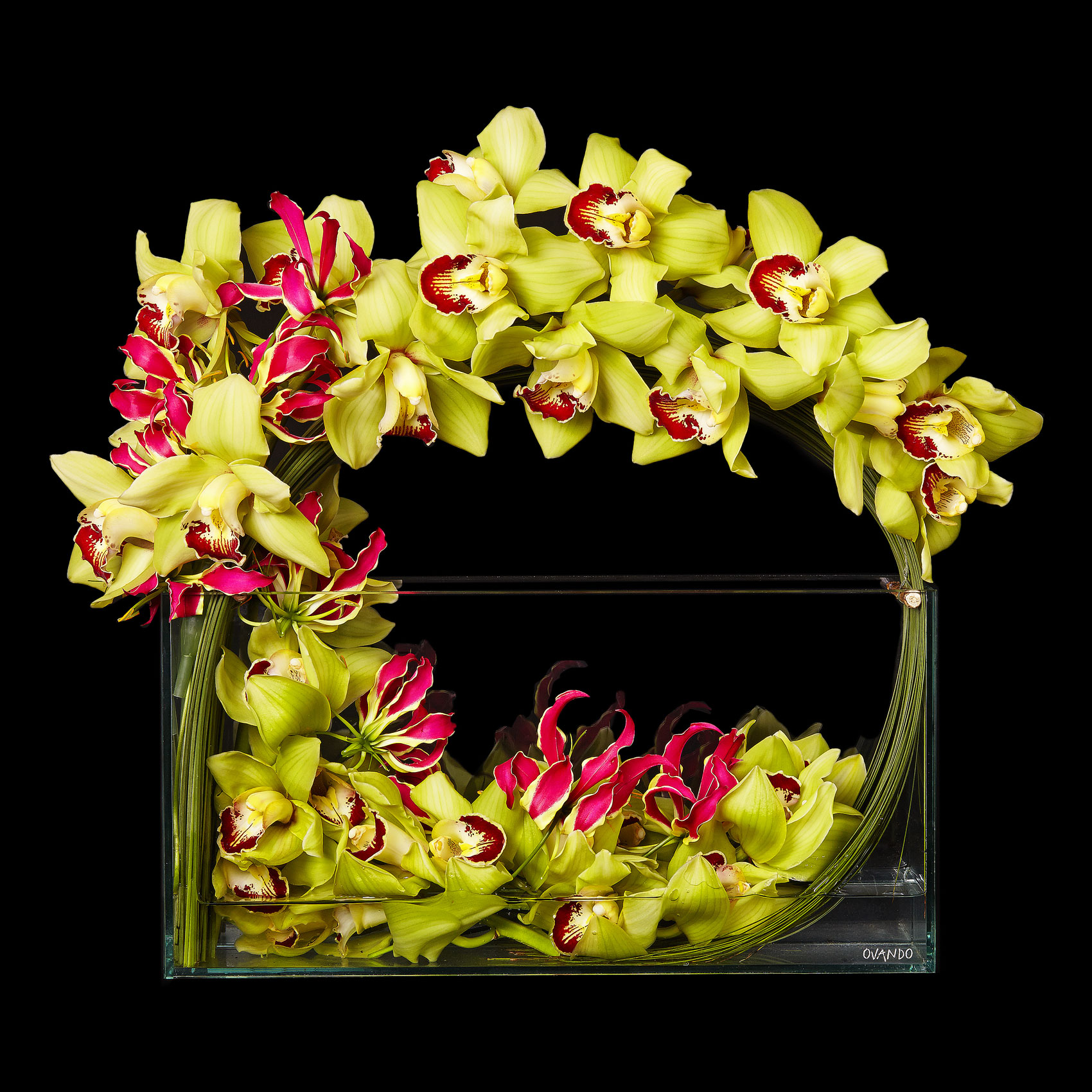 orchids_red_green_floral_arrangement_valentines-day_ovando_ty-mecham