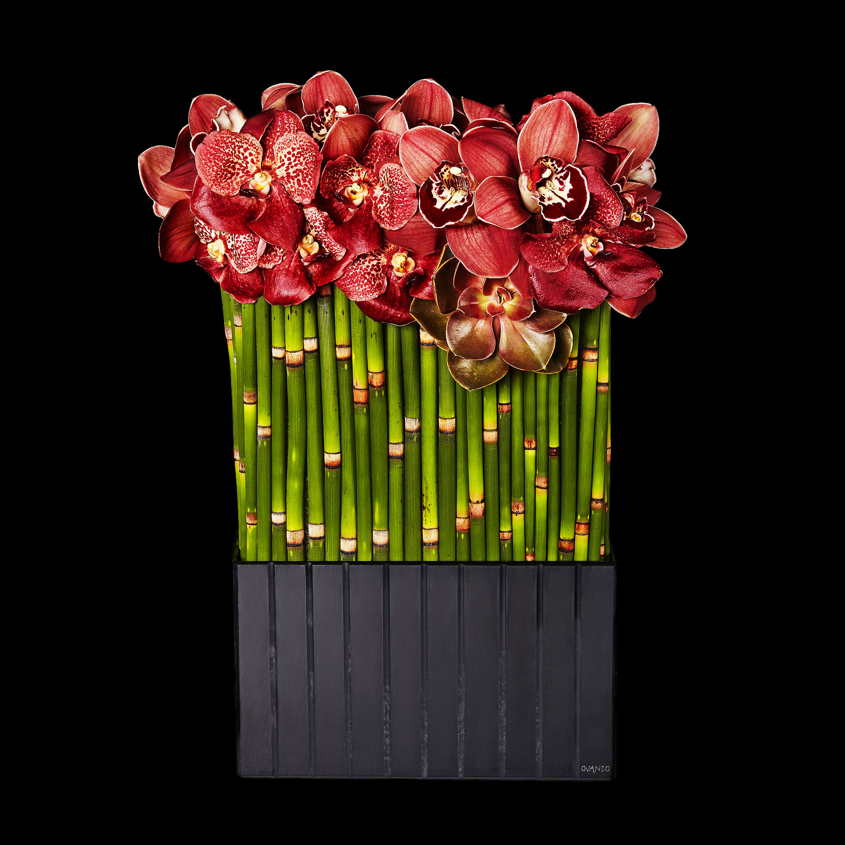 red-orchids_bamboo_floral_arrangement_valentines-day_ovando_ty-mecham