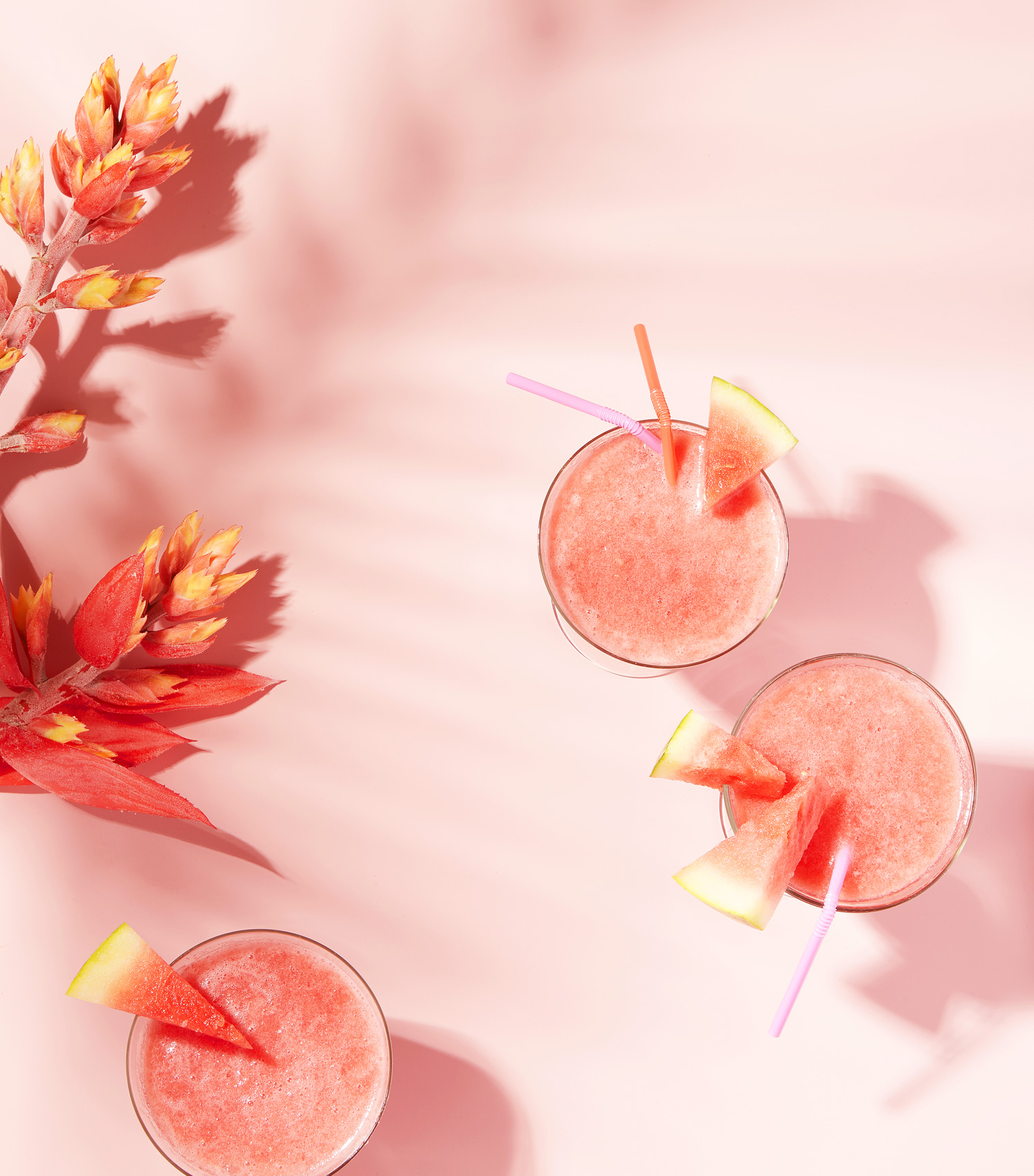 summer-drinks-frozen-daquiri-drink_feature_ty-mecham_west-elm